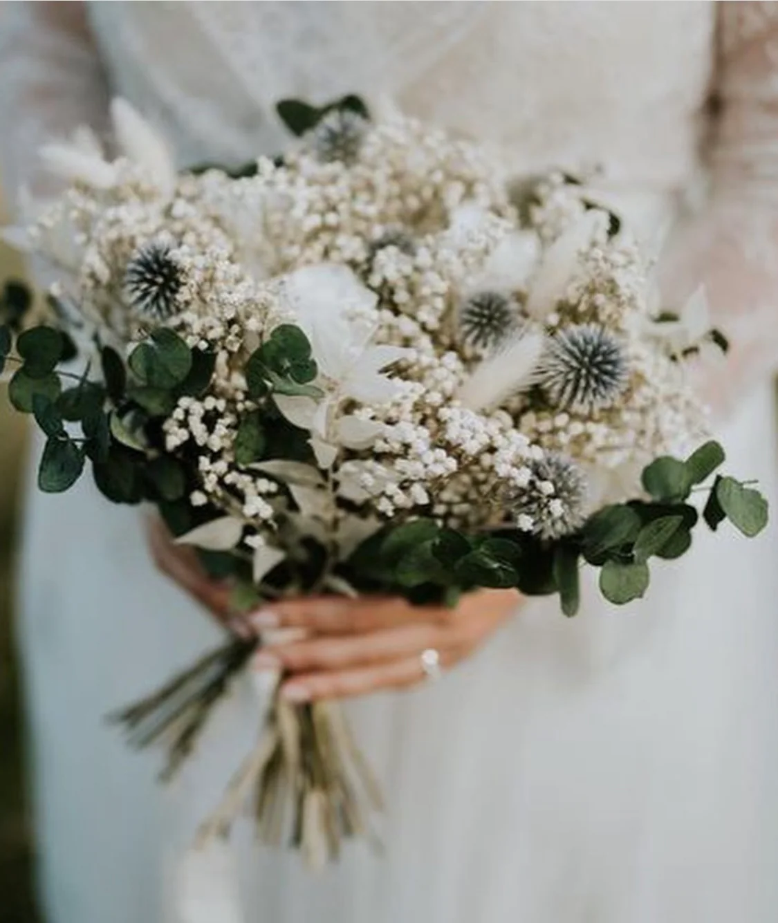 Timeless Blooms for Every Space