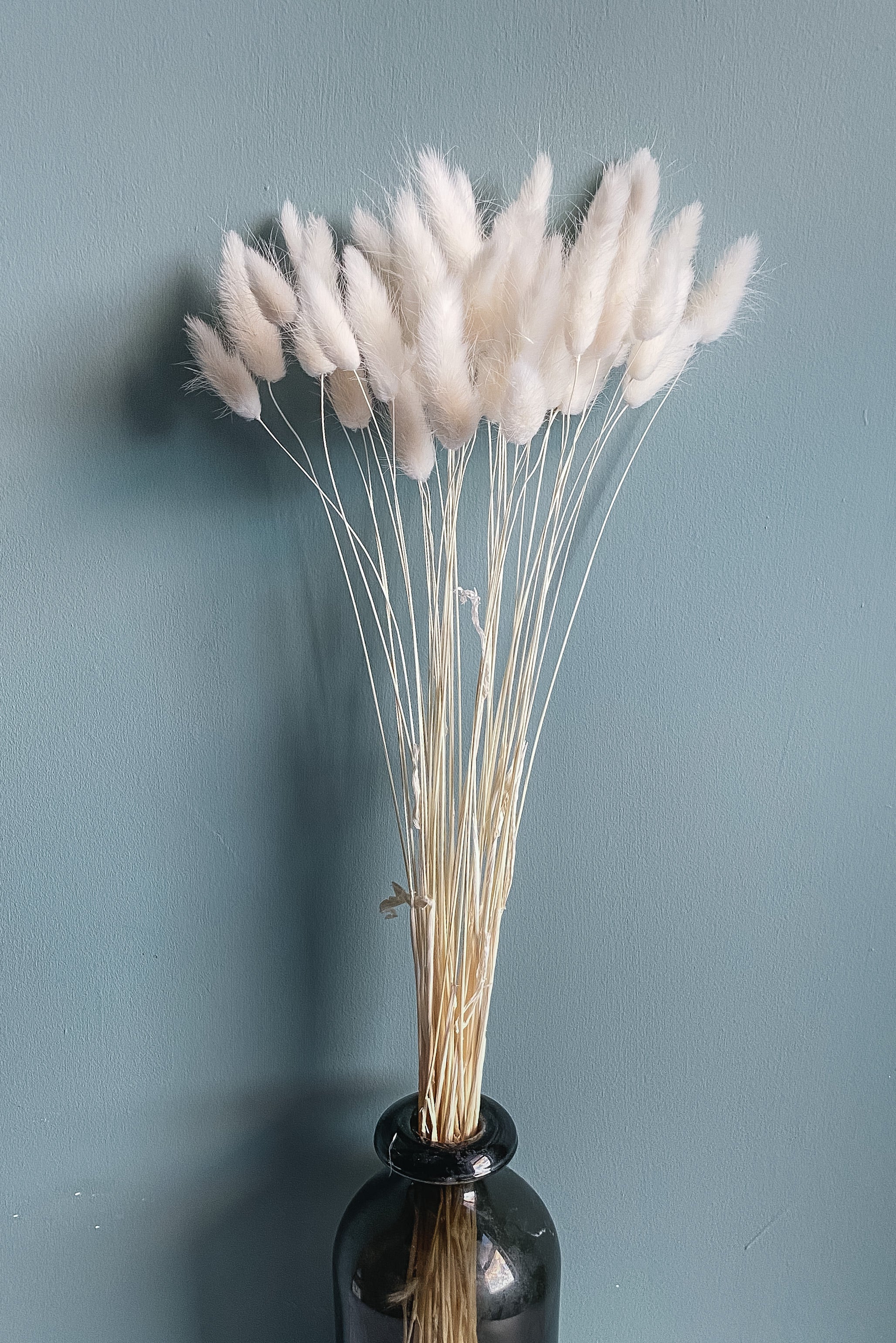 Dried Bunny Tails - White - Image 2