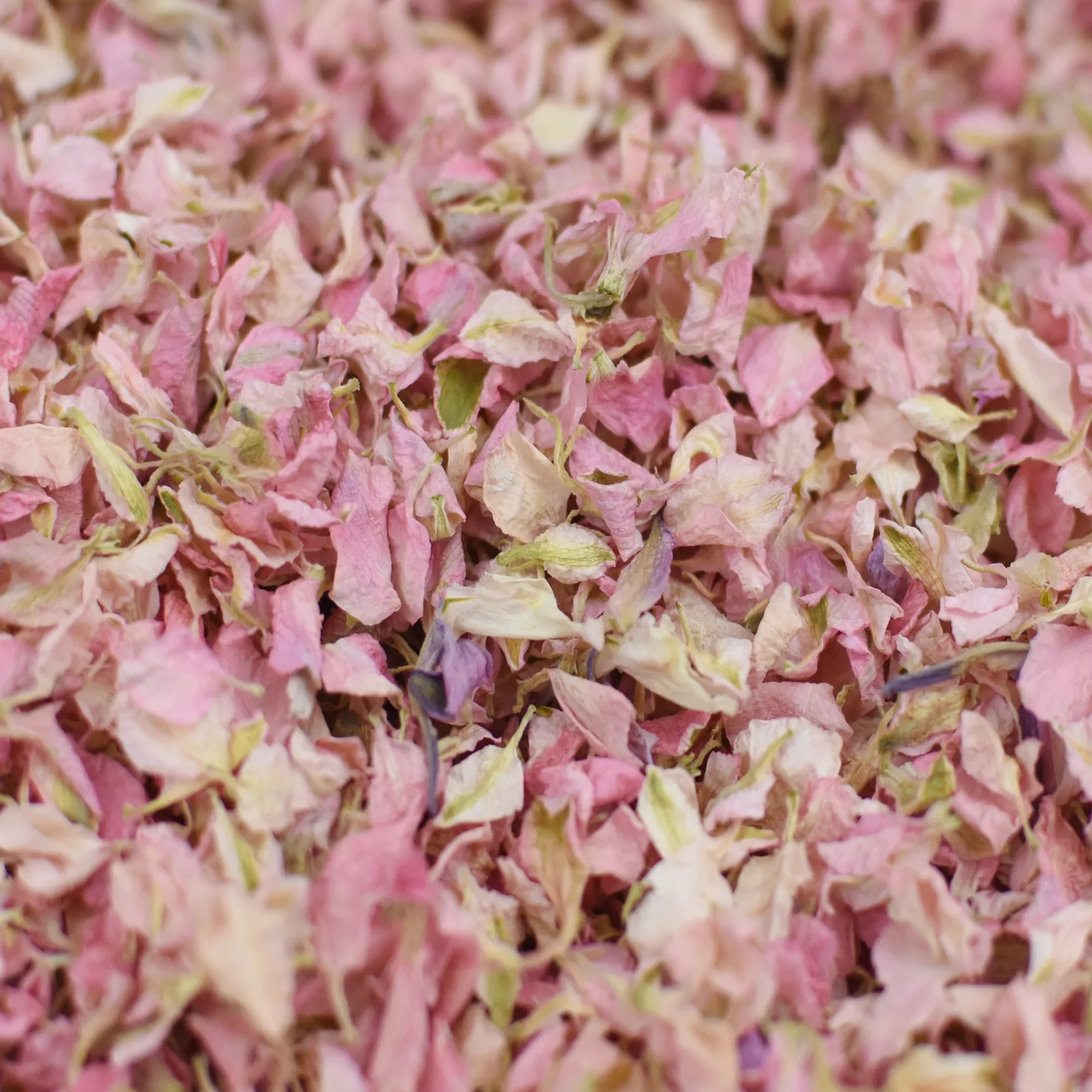 Dried flower confetti - Image 2